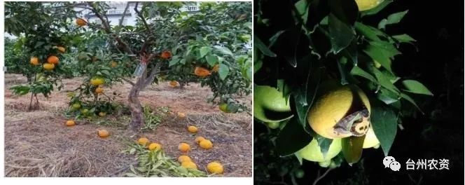 1675672553116241.jpg 640 (54).jpg