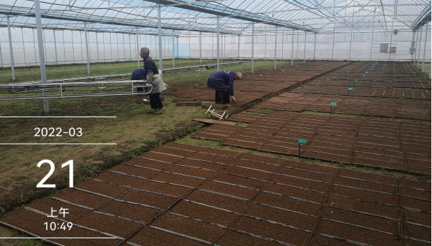 臺(tái)州農(nóng)資 臺(tái)州農(nóng)資