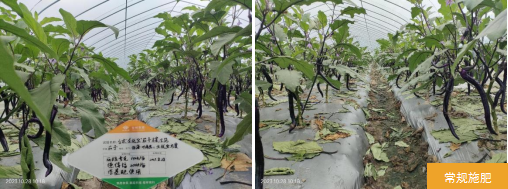 臺(tái)州農(nóng)資 臺(tái)州農(nóng)資